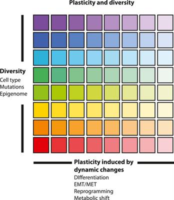 Engaging plasticity: Differentiation therapy in solid tumors